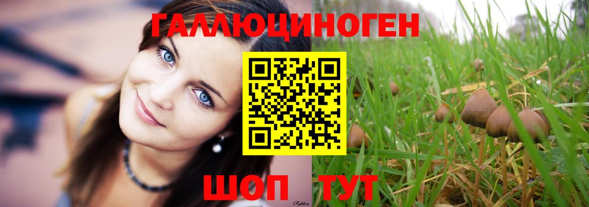 Псилоцибиновые грибы Psilocybine cubensis  Вход с VPN  Павловский Посад 