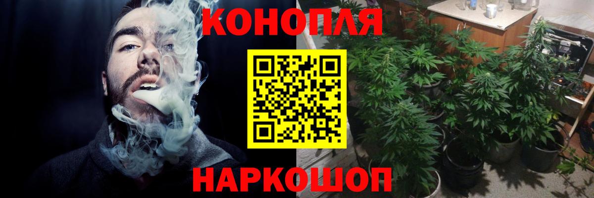 Канабис ГИДРОПОН  Бошки Шишки конопля  Вход с VPN  Павловский Посад 